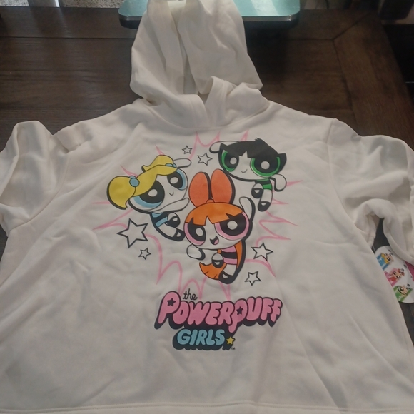 Powerpuff Girls Cartoon Network Cropped Hoodie Sweatshirt Junior size L - Picture 3 of 9